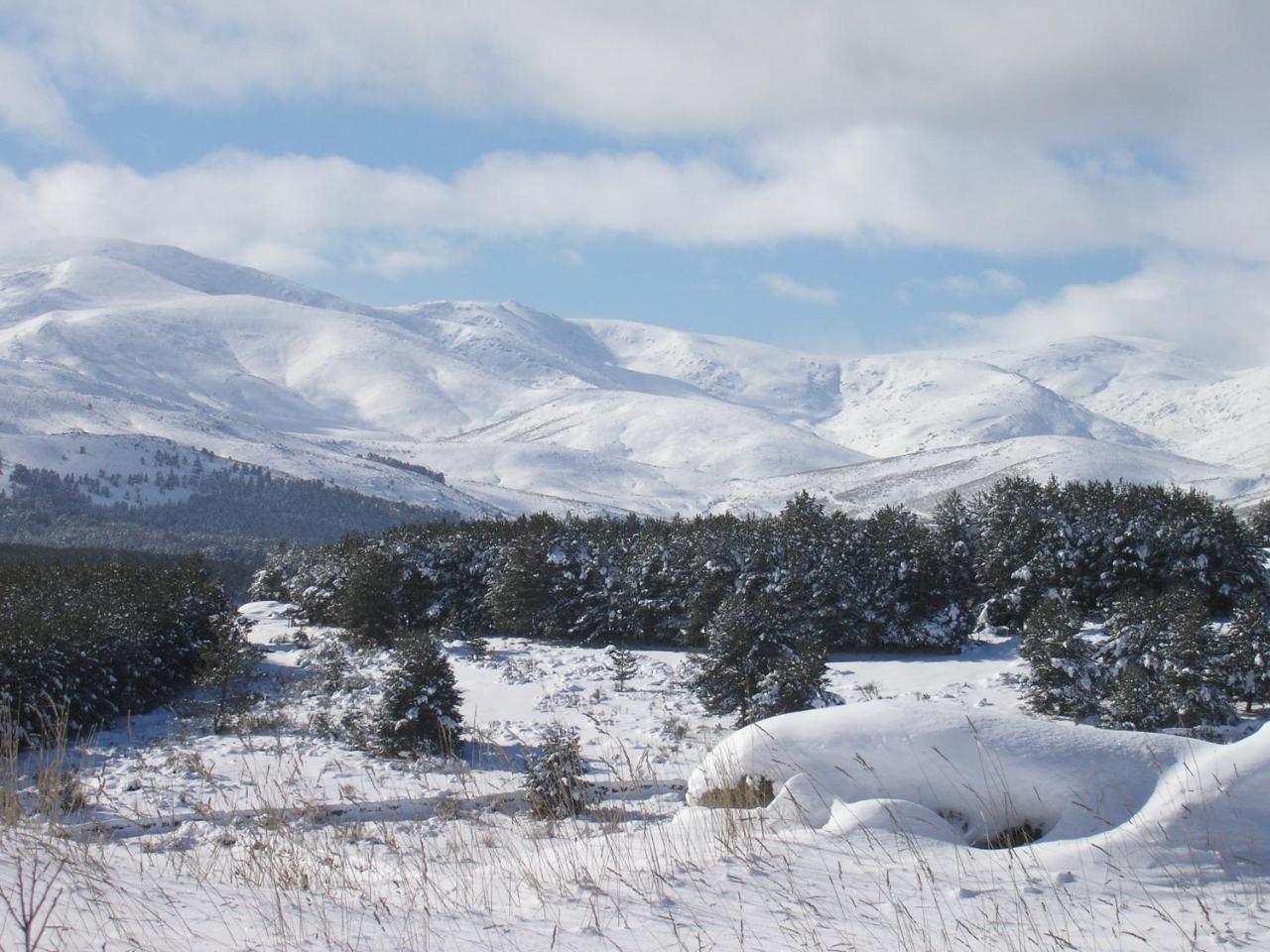 Tinao de Gredos Barajas de Gredos Exterior foto