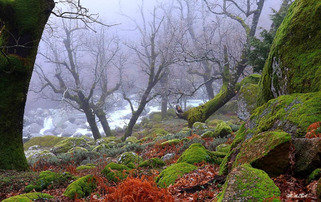 Tinao de Gredos Barajas de Gredos Exterior foto